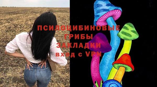 ГАЛЛЮЦИНОГЕННЫЕ ГРИБЫ Богородицк
