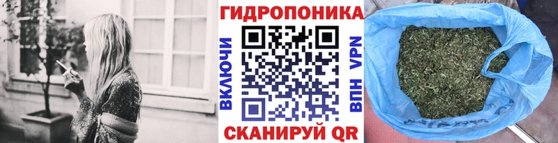 Каннабис сатива  Купить закладки  Лыткарино 